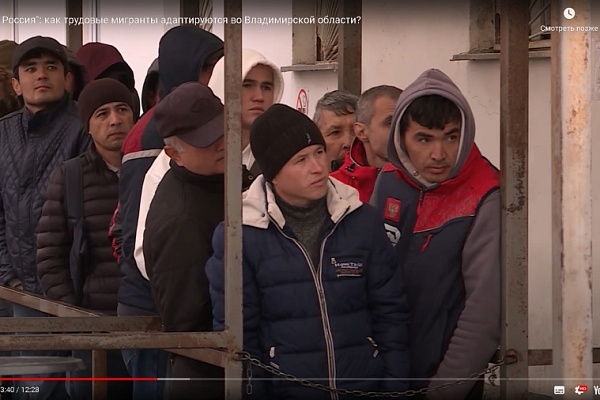 Как трудовые мигранты адаптируются во Владимирской области?